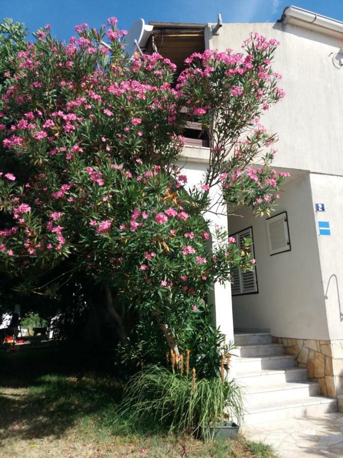Apartman Nona Povljana Luaran gambar