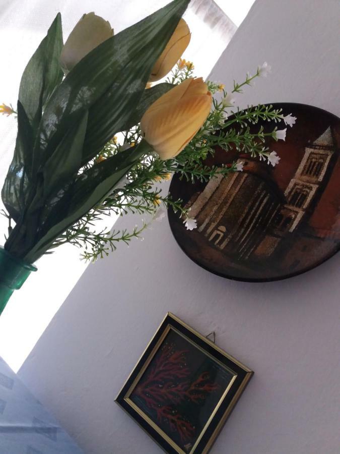 Apartman Nona Povljana Luaran gambar